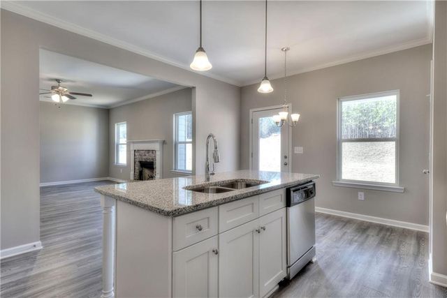 169 Elivia Way, Dallas, GA 30132