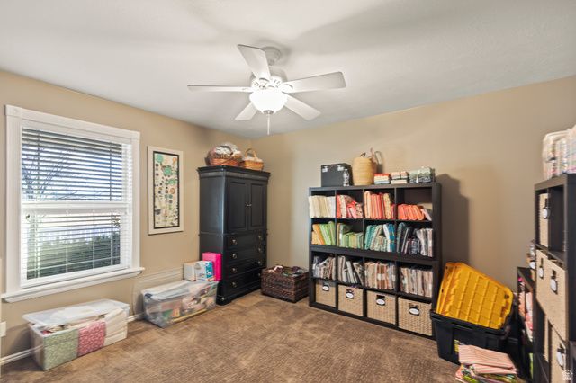 1199 N 520 E, Salina, UT 84654