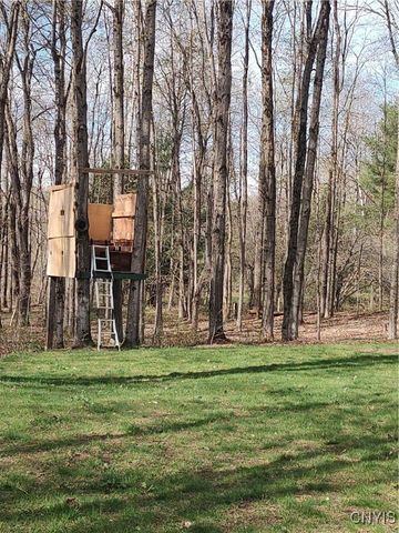 122 County Route 17a, Amboy, NY 13493