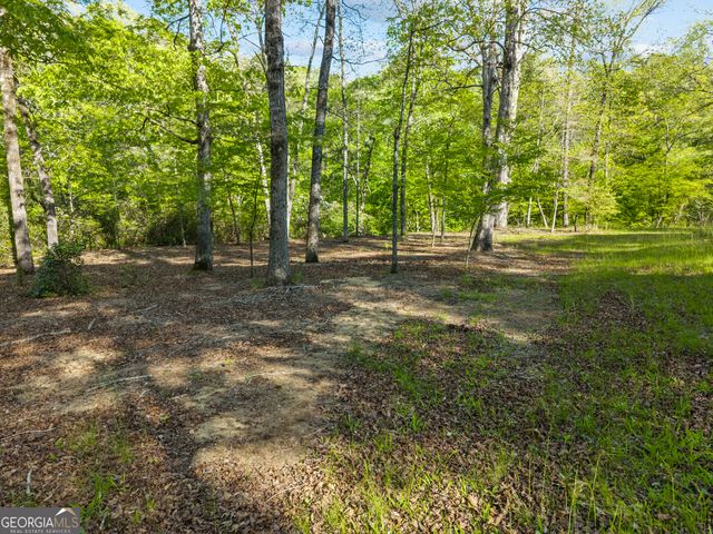 1070 Riverwalk Pointe Road, Bishop, GA 30621