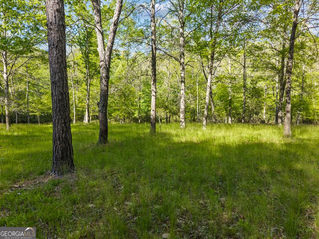 1070 Riverwalk Pointe Road, Bishop, GA 30621