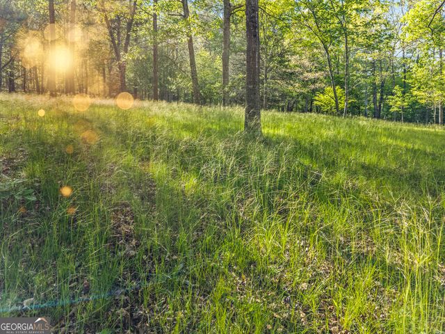 1070 Riverwalk Pointe Road, Bishop, GA 30621
