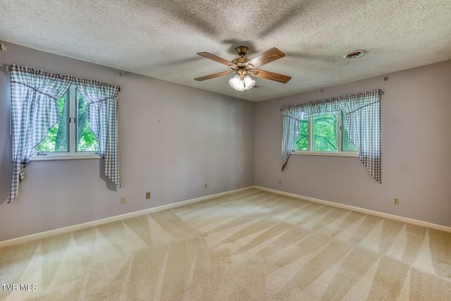 123 Woodside Court, Gray, TN 37615