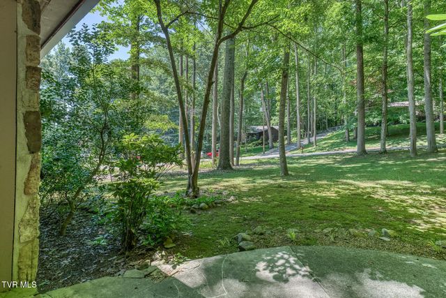 123 Woodside Court, Gray, TN 37615