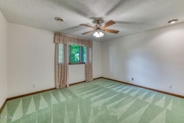 123 Woodside Court, Gray, TN 37615