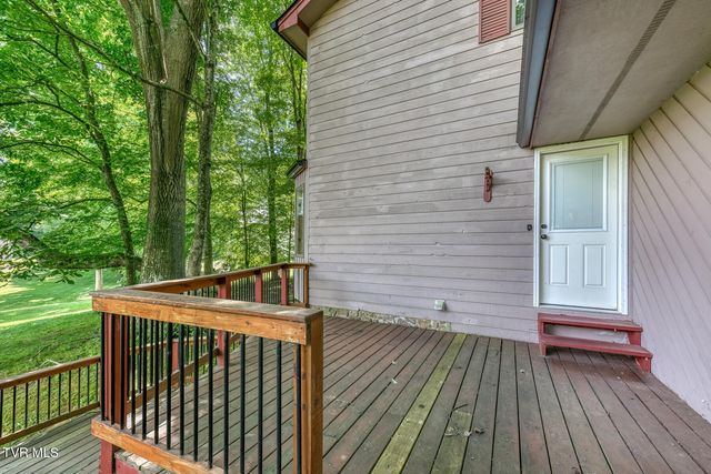123 Woodside Court, Gray, TN 37615