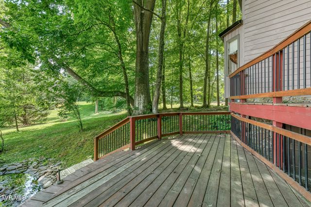 123 Woodside Court, Gray, TN 37615
