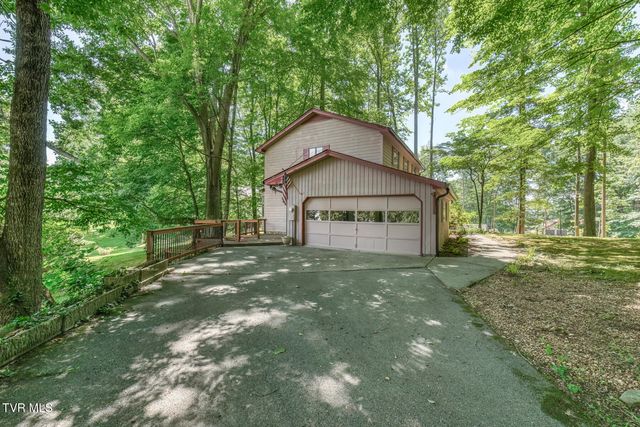 123 Woodside Court, Gray, TN 37615