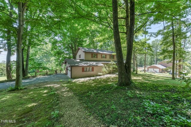 123 Woodside Court, Gray, TN 37615