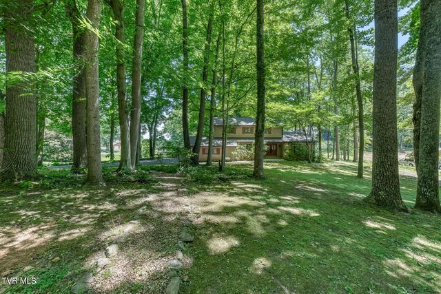 123 Woodside Court, Gray, TN 37615