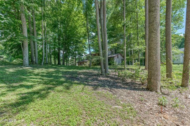 123 Woodside Court, Gray, TN 37615