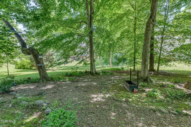 123 Woodside Court, Gray, TN 37615