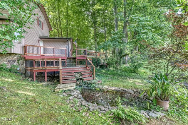 123 Woodside Court, Gray, TN 37615