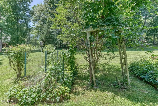 123 Woodside Court, Gray, TN 37615
