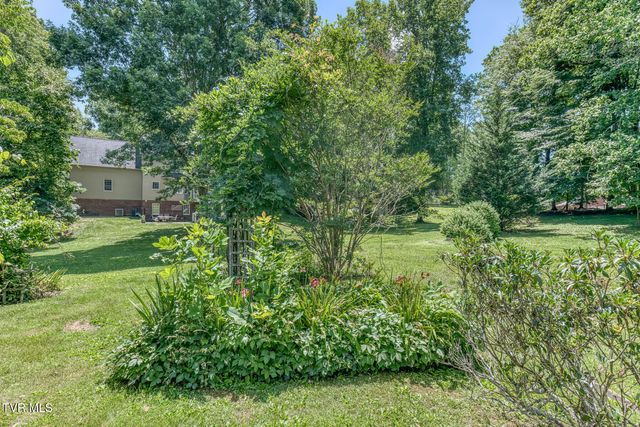 123 Woodside Court, Gray, TN 37615