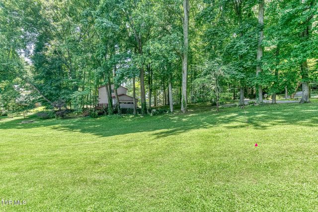 123 Woodside Court, Gray, TN 37615