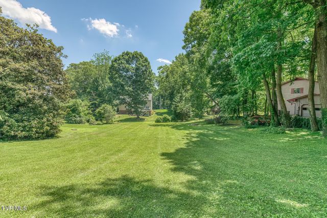 123 Woodside Court, Gray, TN 37615