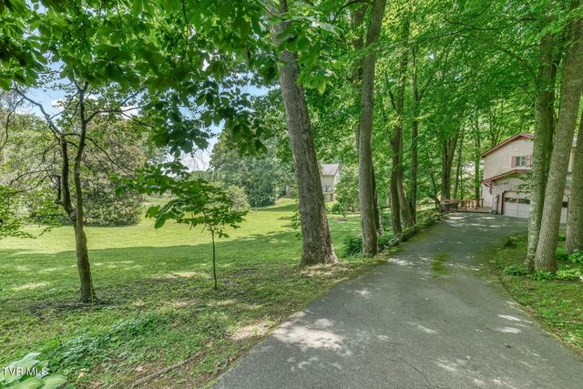 123 Woodside Court, Gray, TN 37615