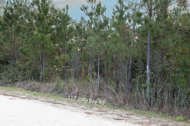 117 Jolly Bay and 221 Johnson Road, Freeport, FL 32439
