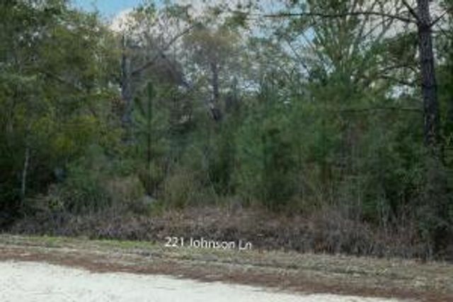 117 Jolly Bay and 221 Johnson Road, Freeport, FL 32439