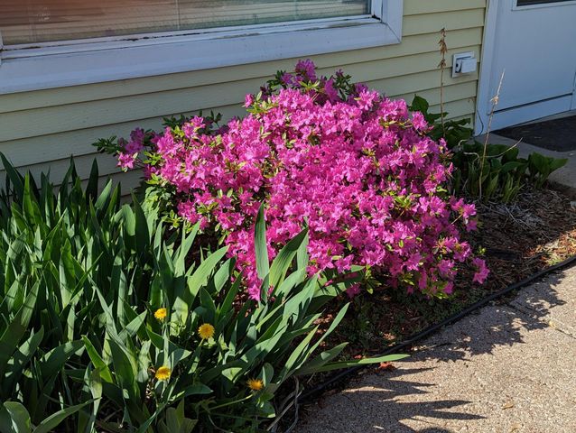 1009 HIATT Street, Carter Lake, IA 51510