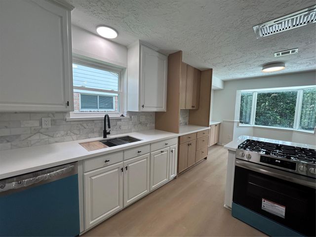 12118 Dorrance Lane, The Meadows, TX 77477