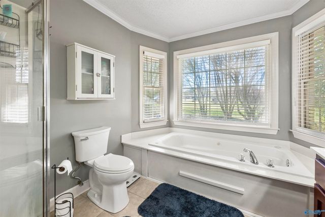 117 Word Lane, Harvest, AL 35749