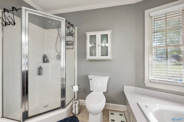 117 Word Lane, Harvest, AL 35749