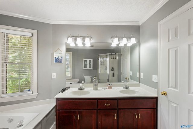 117 Word Lane, Harvest, AL 35749