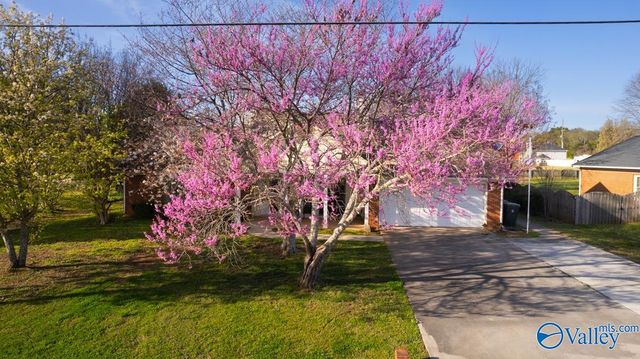 117 Word Lane, Harvest, AL 35749