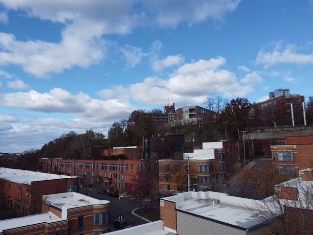 100 Lawn 100, Boston, MA 02120