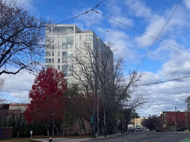 100 Lawn 100, Boston, MA 02120