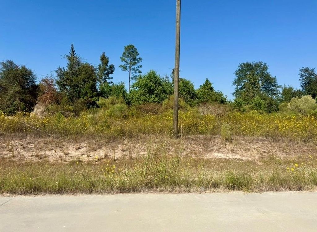 5308 Road 5914-08, Cleveland, TX 77327