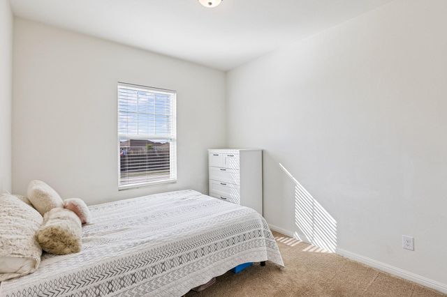 19105 Mike Mansfield RD, Manor, TX 78653