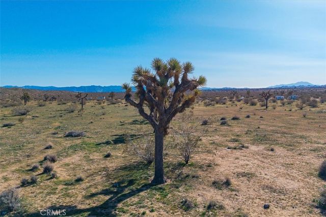 58459 Starlight Mesa Road, Yucca Valley, CA 92284