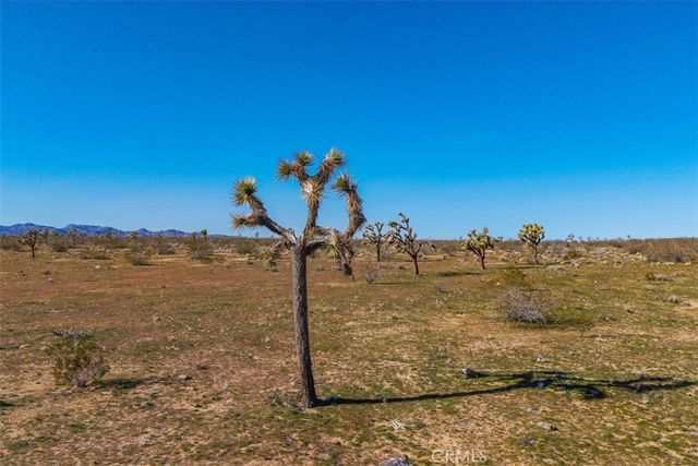 58459 Starlight Mesa Road, Yucca Valley, CA 92284