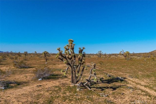 58459 Starlight Mesa Road, Yucca Valley, CA 92284