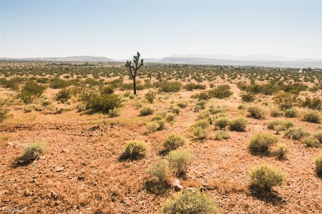 58459 Starlight Mesa Road, Yucca Valley, CA 92284