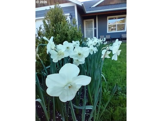 1944 Ne SUNSET LOOP Dr, Roseburg, OR 97470