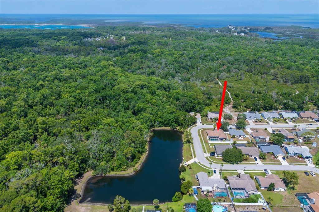 Image 36 of property listing at 10149 BRIAR CIRCLE, Hudson, FL 34667