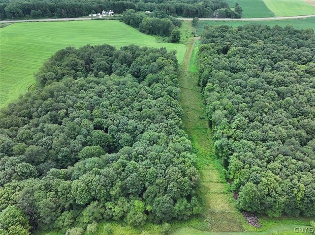 13849 Brewer Road, Collins, NY 14034
