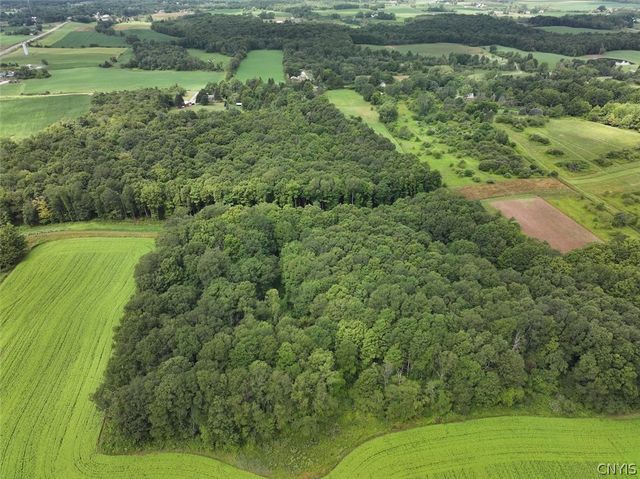 13849 Brewer Road, Collins, NY 14034