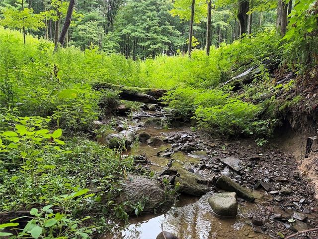 13849 Brewer Road, Collins, NY 14034