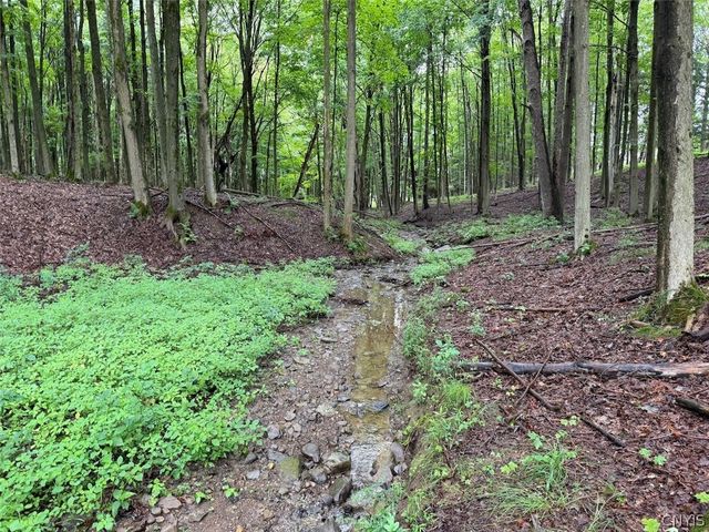 13849 Brewer Road, Collins, NY 14034