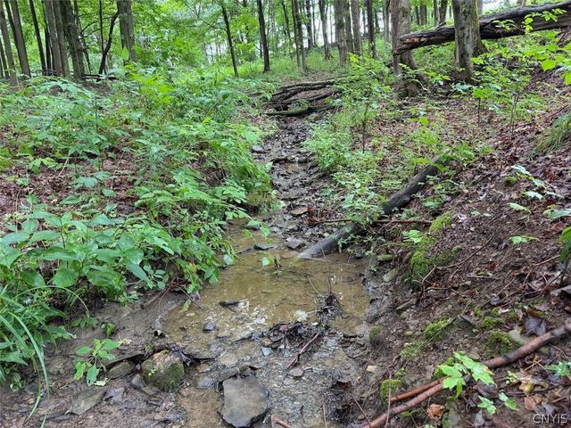 13849 Brewer Road, Collins, NY 14034