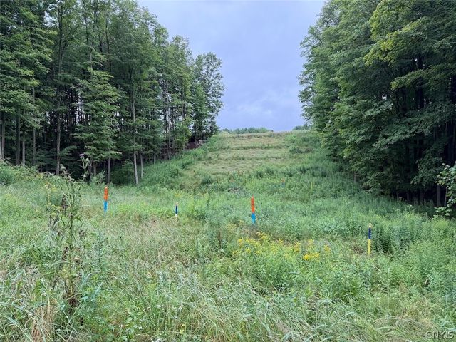 13849 Brewer Road, Collins, NY 14034