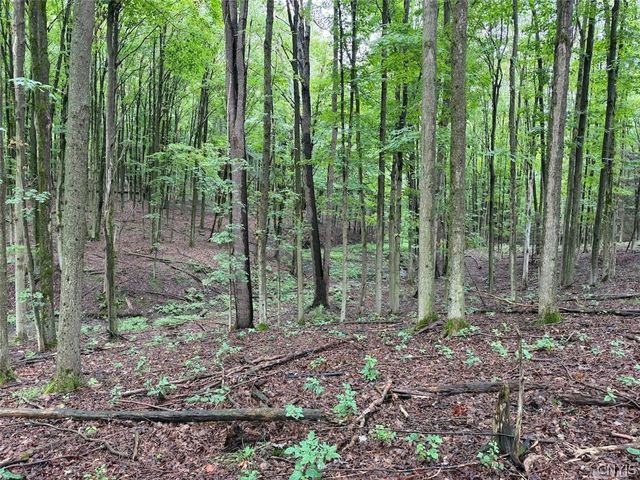 13849 Brewer Road, Collins, NY 14034