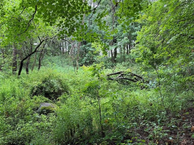 13849 Brewer Road, Collins, NY 14034