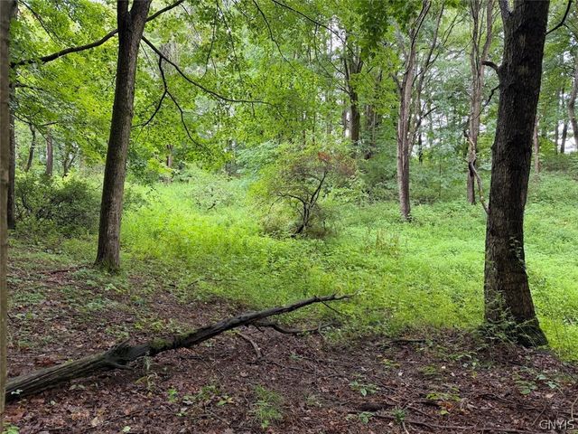 13849 Brewer Road, Collins, NY 14034