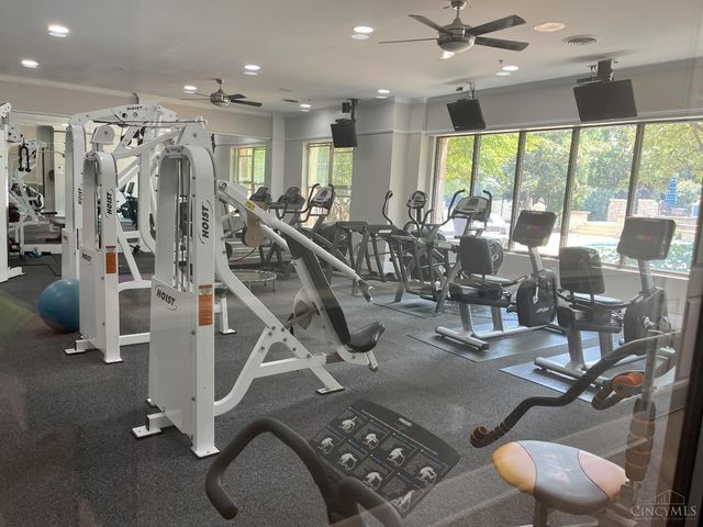 207 Stetson Street, Cincinnati, OH 45219